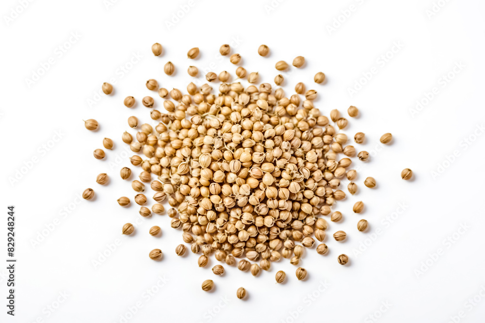 Coriander seeds on a white background Coriander seeds on a white background