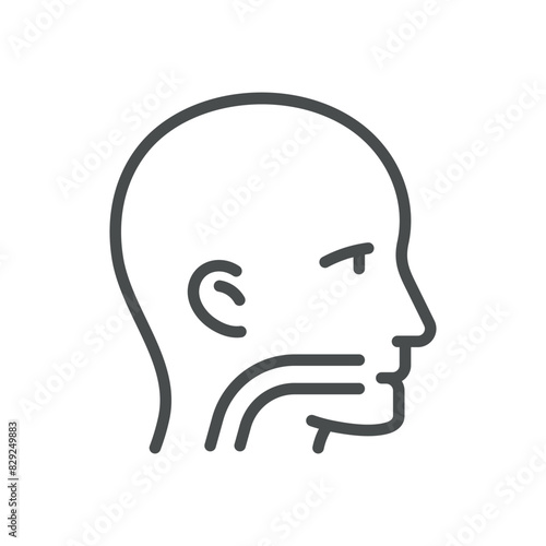Larynx and Pharynx Icon. Isolated Line Illustration of Human Larynx and Pharynx, Representing ENT, Respiratory Health, and Throat Anatomy. Perfect for Medical and Healthcare Applications.