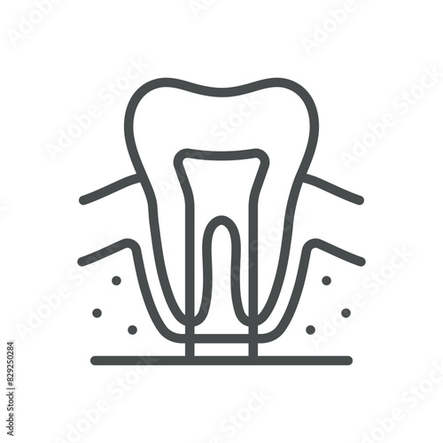 Tooth Anatomy Icon. Simple Isolated Line Illustration of Human Tooth Anatomy, Representing Dental Health, Dentistry, and Oral Care. Perfect for Medical and Healthcare Applications.