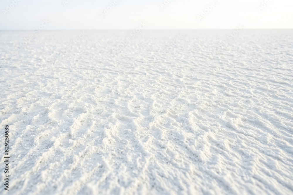 White Salt Flats