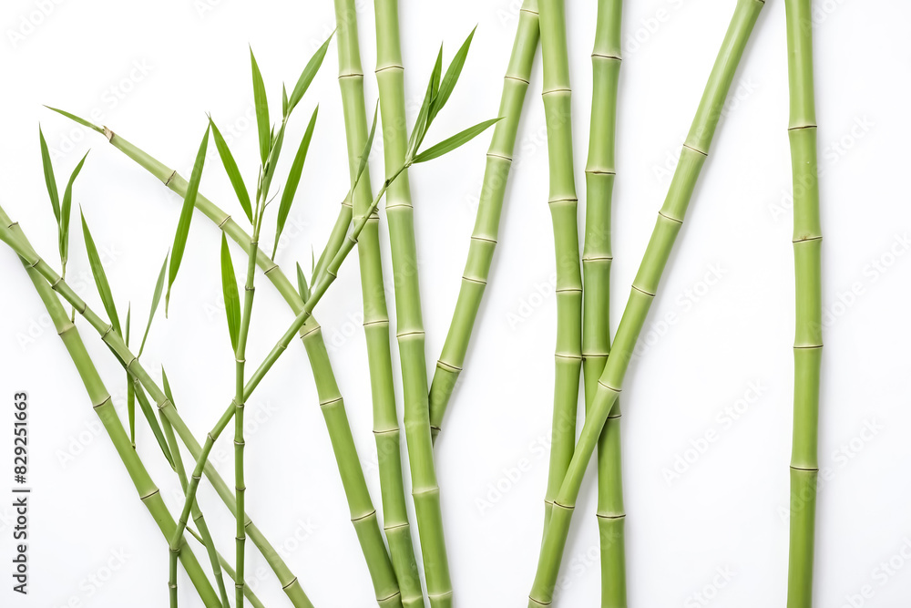 Obraz premium Green Bamboo Shoots on White Background