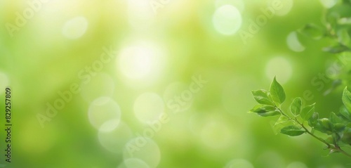 meditation posters with a leaf bokeh background  creating a calming and nature-inspired visual that soothes the mind.