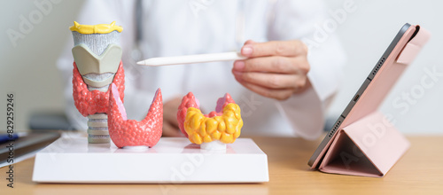 Photos Doctor with human Thyroid anatomy model and tablet