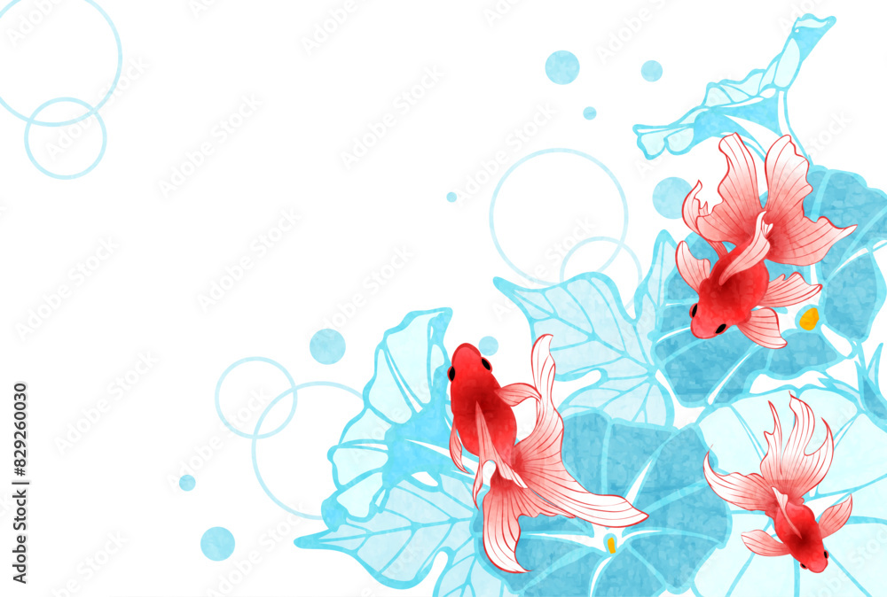 Obraz premium 金魚、暑中見舞い、琉金、イラスト、和風、あさがお、夏、かわいい、琉金、横