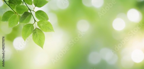 Experience the blissful charm of a bright green leaf bokeh background  offering a refreshing and invigorating touch to your creative projects.
