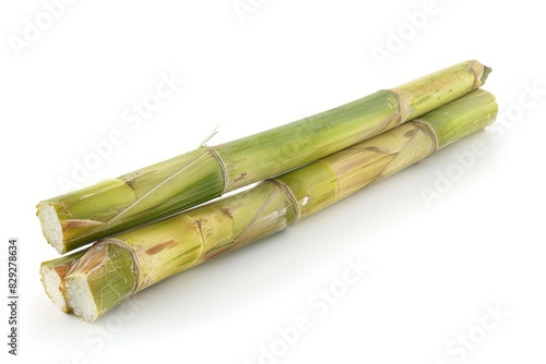 Single sugar cane isolated on white background