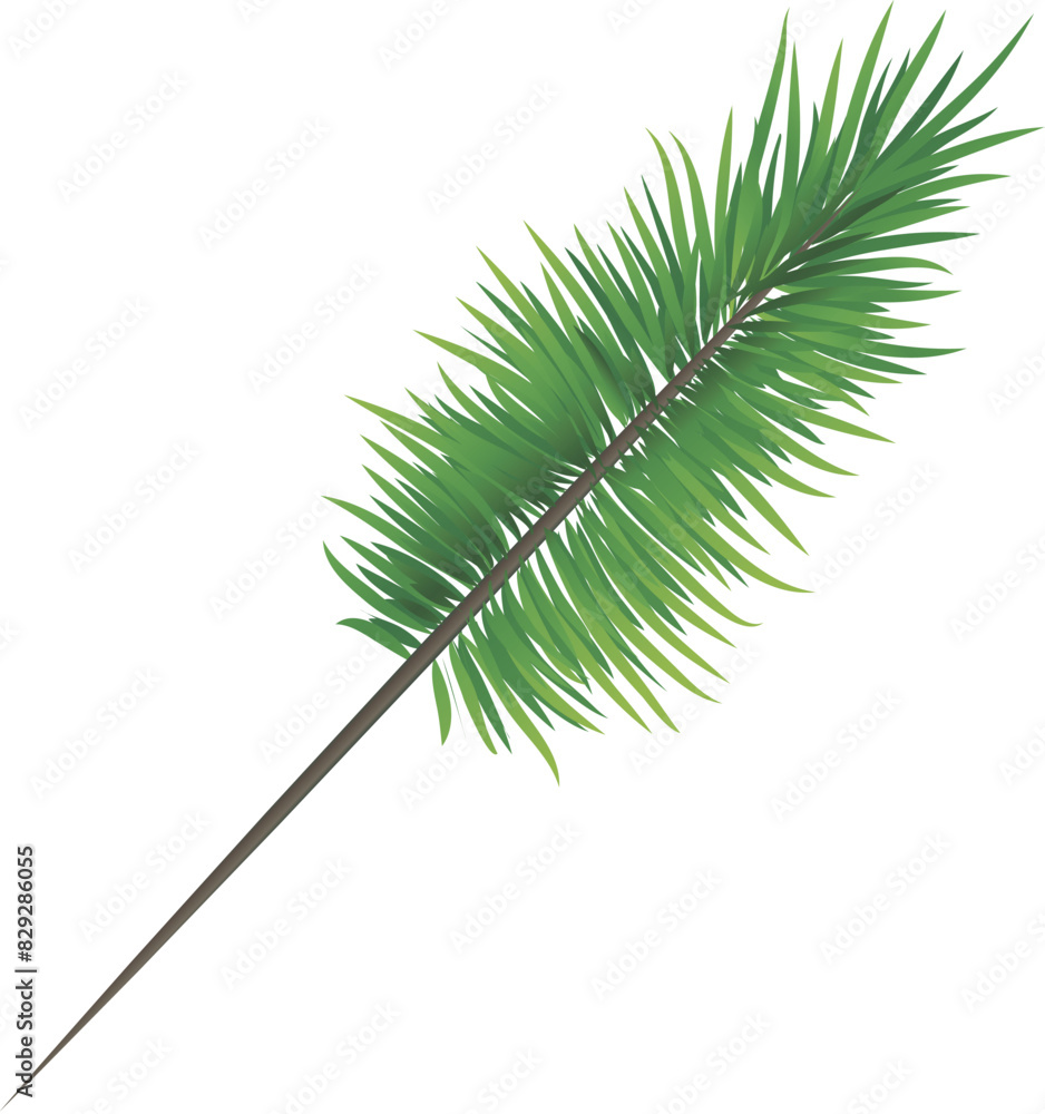 pine needle pine needle