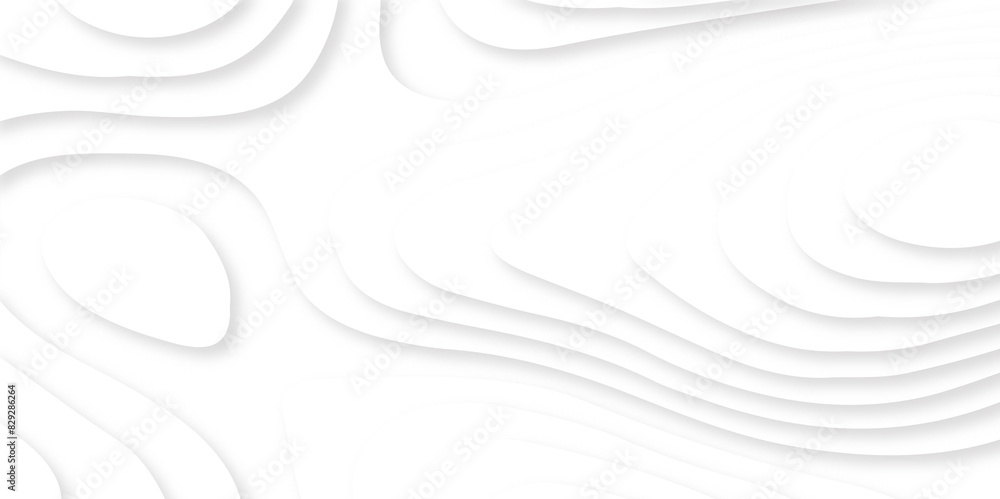Fototapeta premium Abstract wavy line paper cut white background. Topographic geometric map relief texture with curved layers and shadow. Abstract realistic papercut background. Vector illustration.
