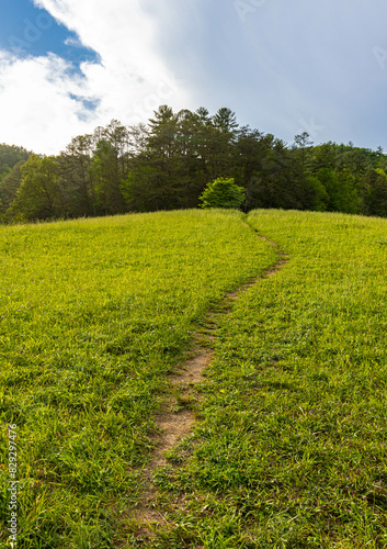 Hiking Trail Through Green Meadow With The Smoky Mountains on The Cades Cove Loop  Great Smoky Mountains National Park  Tennessee  USA