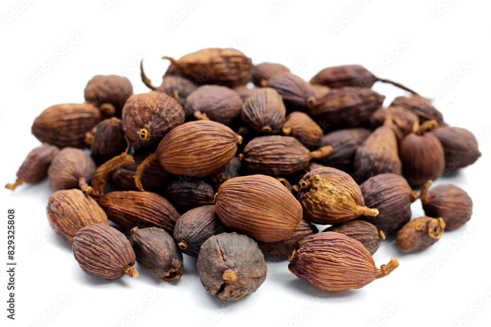 Black Cardamom or Greater Cardamom Black Cardamom or Greater Cardamom