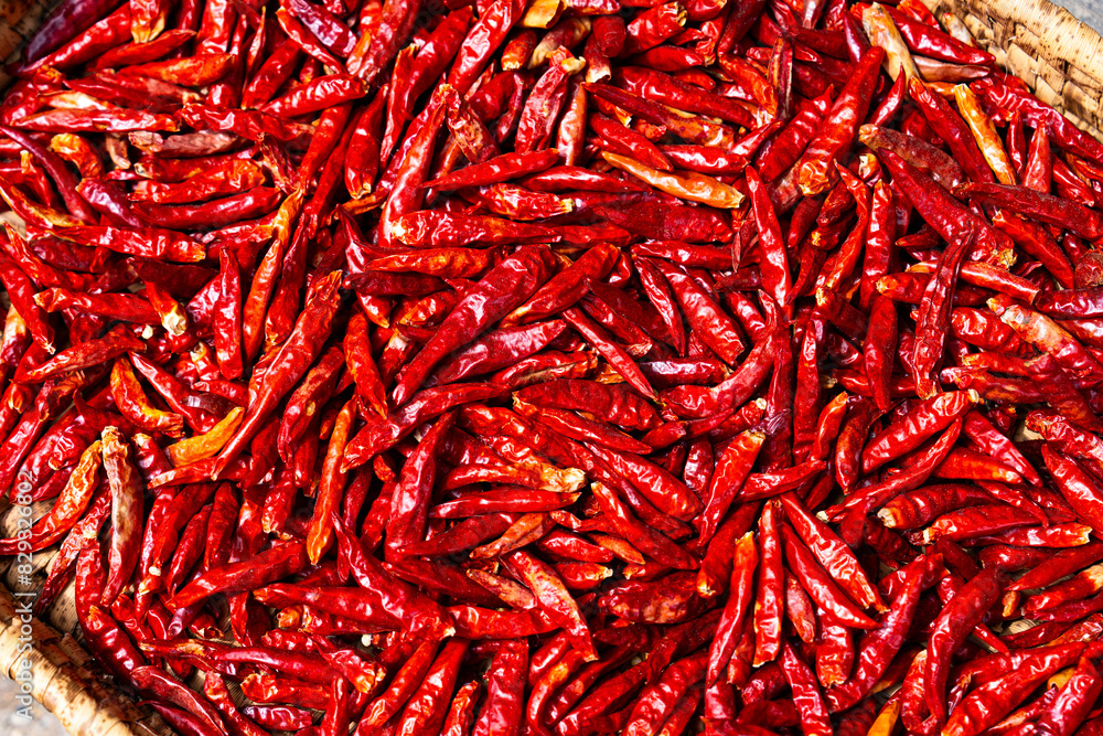 Fototapeta premium 大量のトウガラシ