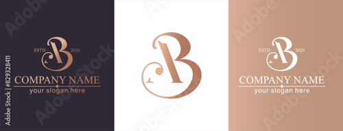 AB logo. BA letter logo template elements. personal monogram. Vector elegant logo. letter AB logo design