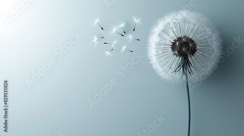 Dandelion Seeds Floating in Breeze Against Light Blue Background