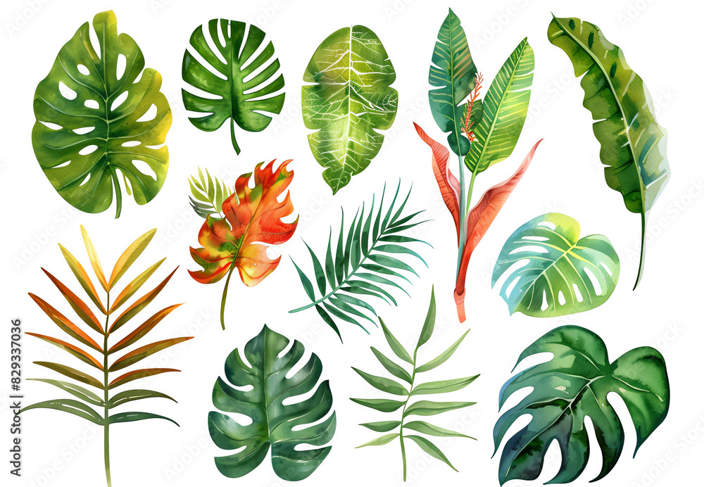 Fototapeta premium Watercolor tropical leaves. Botanical jungle illustration. Beautiful tropical exotic foliage.