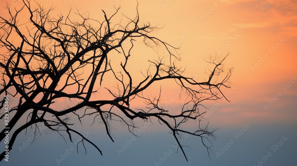 The silhouette of trees and an Empusa pennata mantis against a gradient twilight sky. The silhouette of trees and an Empusa pennata mantis against a gradient twilight sky.
