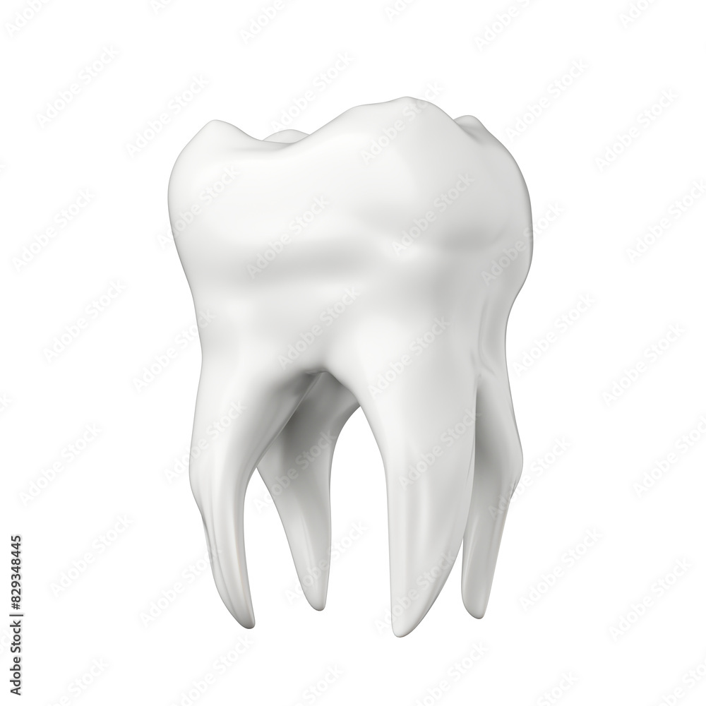 White molar tooth isolated on white background. White molar tooth isolated on white background.