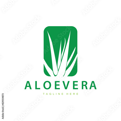 aloe vera logo cosmetic design simple green plant health symbol vector illustration
