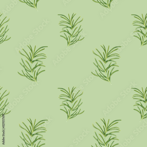 Seamless pattern with rosemary branches on green background. Hand drawn watercolor illustration. Herb spices and seasonings. For design, menu, textile, decor, wallpaper, wrapping paper, clothing,