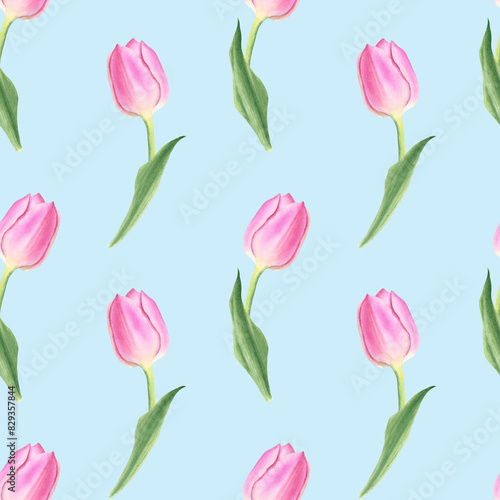 Wallpaper Mural Pink tulips flowers with leaves. Seamless pattern on blue background. Hand drawn watercolor botanical illustration. For postcards, textiles, covers, wallpapers, design, decor, wrapping paper, clothing Torontodigital.ca