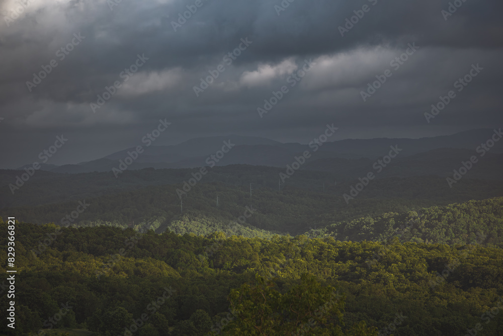 Trees and storm clouds in the Strandzha Mountain in Bulgaria