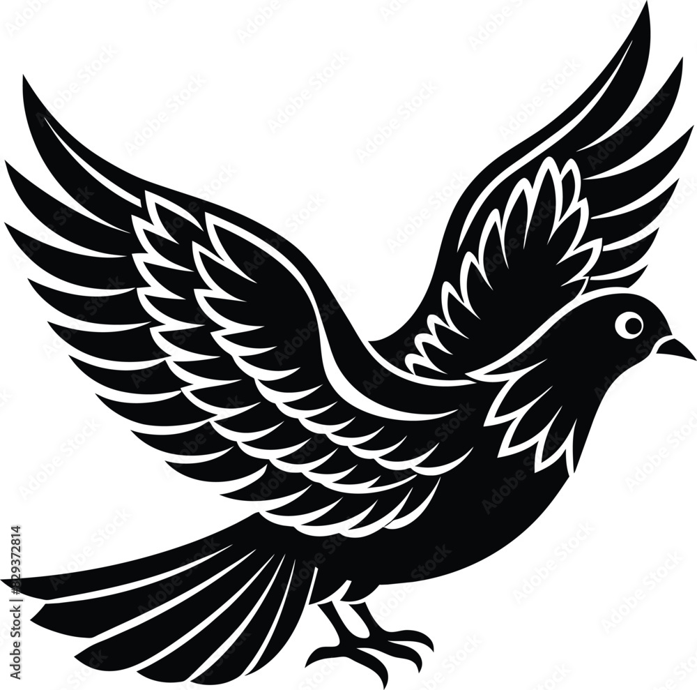 Obraz premium dove with wings