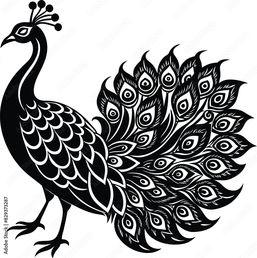 Fototapeta premium peacock illustration