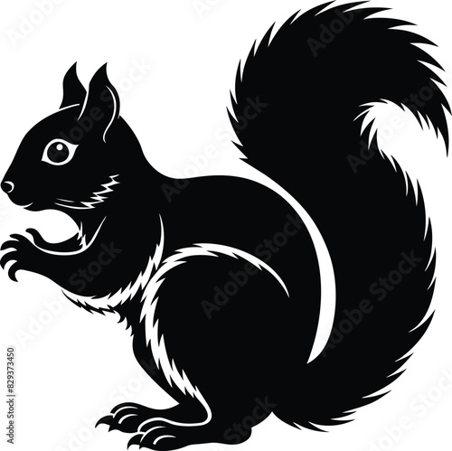 squirrel vector silhouette