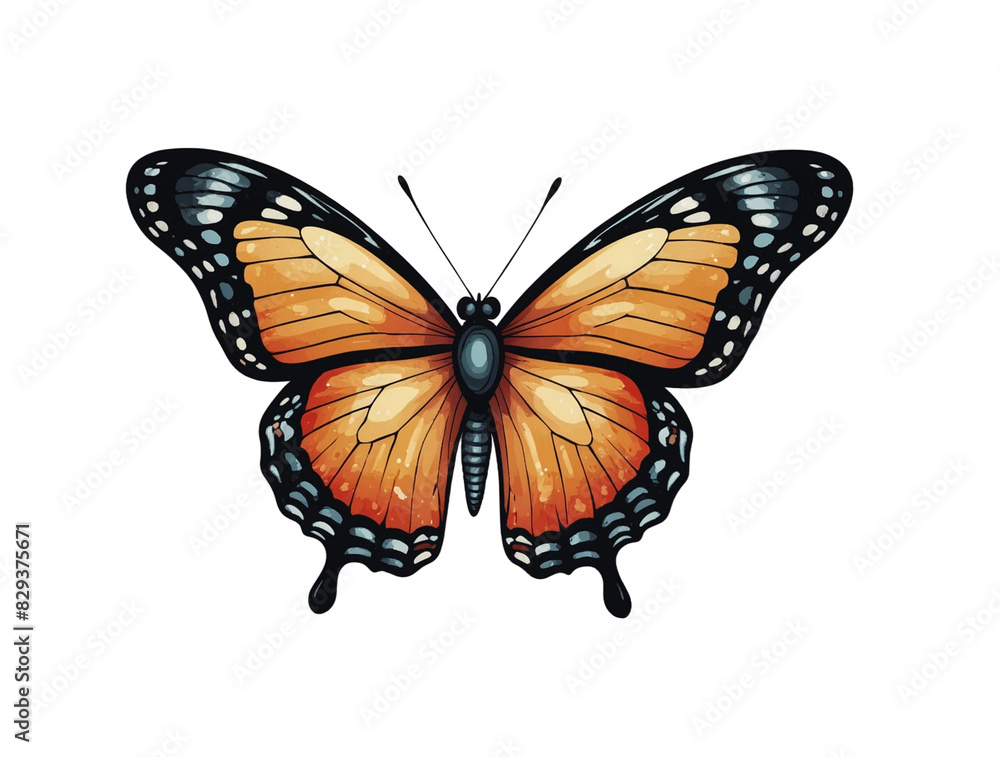 simple colorful butterfly monochrome logo simple colorful butterfly monochrome logo