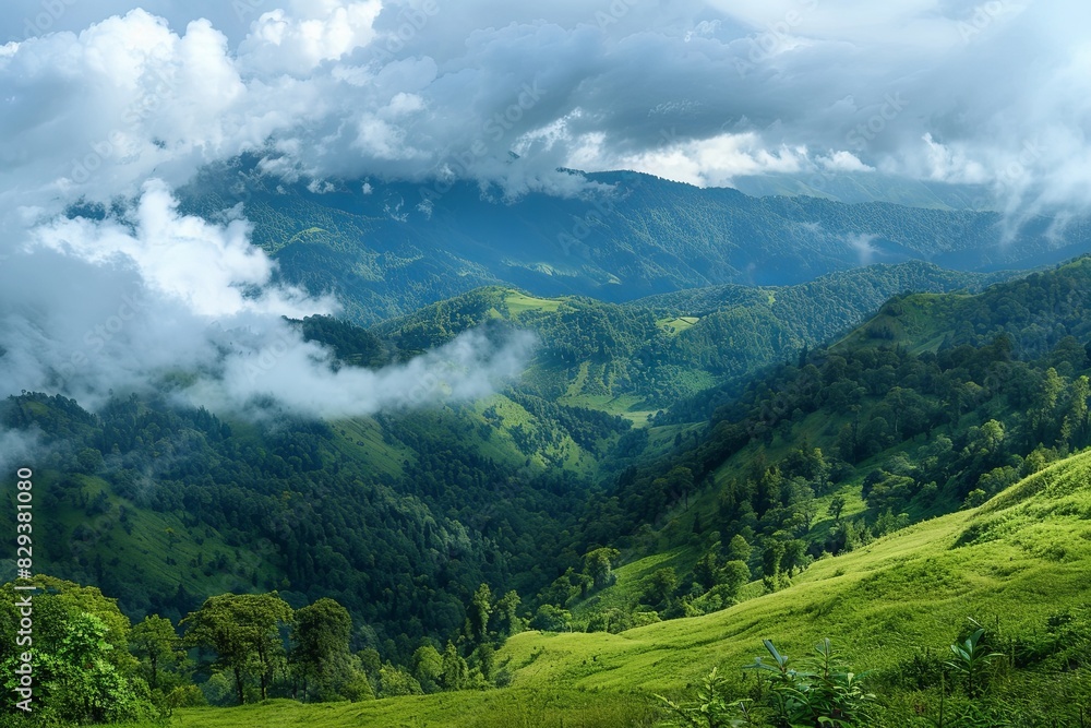Naklejka premium landscape in summer