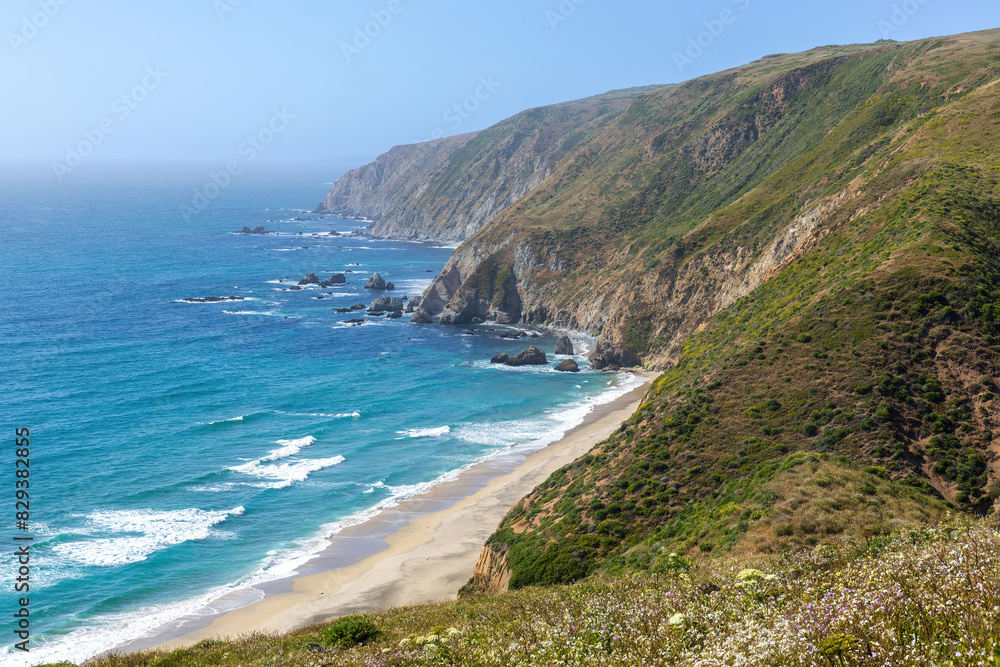 Pacific Ocean Coastline via Tomales Point Trail. Point Reyes National Seashore, Marin County, California, USA.