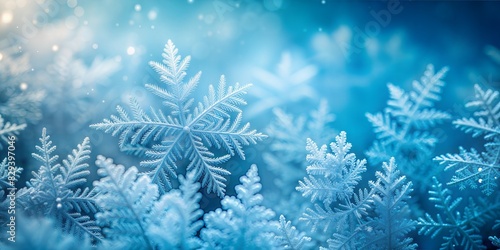 Winter Frost Blur: A cool, icy blue blurred background with subtle frosty patterns, perfect for winter themes.  © No