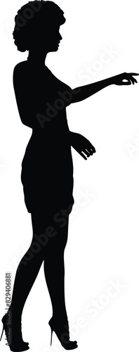 Silhouette of woman in short dress. Detailed silhouette of a woman in short party dress and high heels.