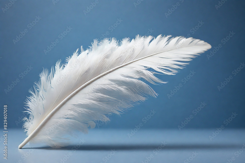 White feather on blue background, soft focus and beautiful bokeh White feather on blue background, soft focus and beautiful bokeh