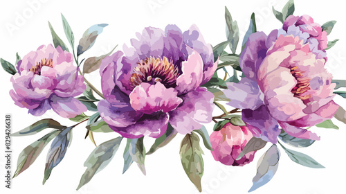 Summer flowers watercolor pink and violet peonies. Fl