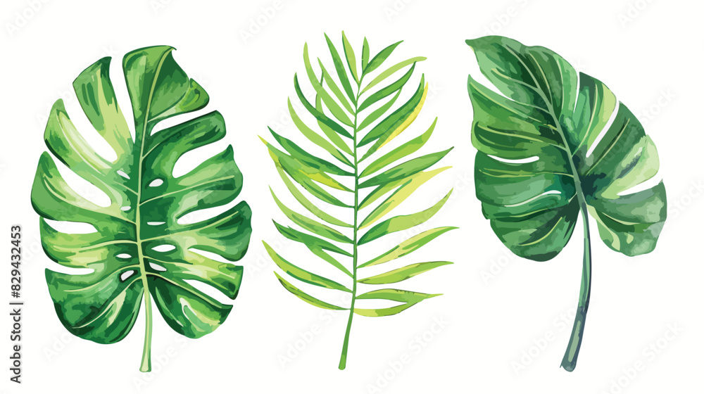 Tropical leaves watercolor leaf. Jungle plants botani