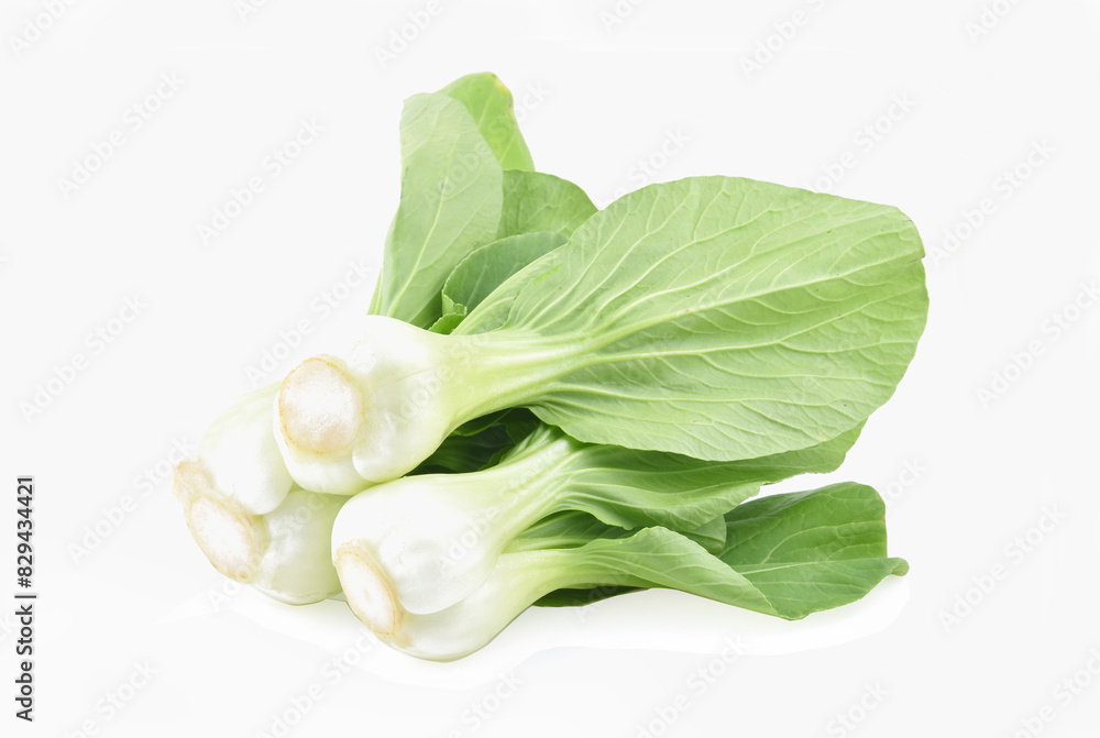 Bok choy vegetable isolated on the white background. Bok choy vegetable isolated on the white background.