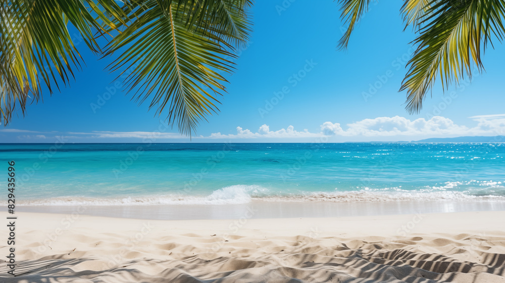 Fototapeta premium Tropikalna plaża. Letnie wakacje na tropikalnej wyspie z piękną plażą i palmami. Tropikalne Malediwy.