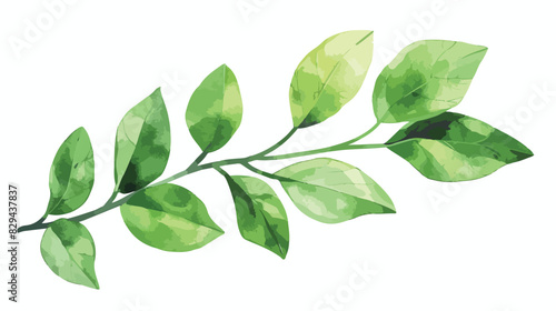 Watercolor branch leaf green leaves for printing subl