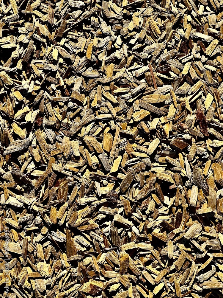 the texture of wood chips on the path in the park the texture of wood chips on the path in the park