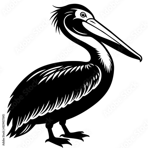 Pelican Vector Silhouette