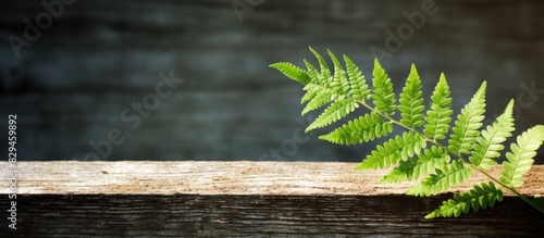GREEN FERN LEAF ON AN OLD WOODEN BACKGROUND THE SHADOW OF THE FERN SHEET ON A WOODEN BACKGROUND. copy space available