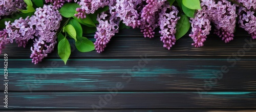 Branches of blossoming lilac on green wooden background diagonal arrangement copy space