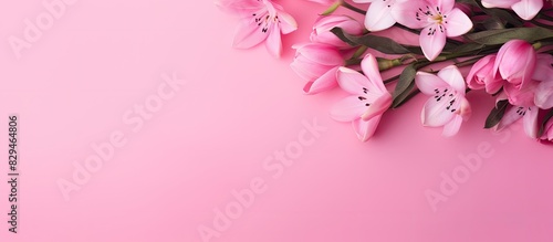Top view of a bouquet of pink flowers on a pink background with copy space image for your text