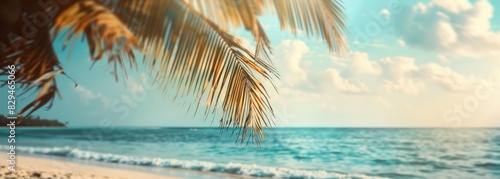 Summer beach. Beautiful blurred background