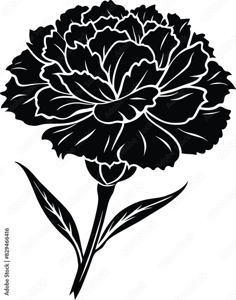 illustration of a flower illustration of a flower