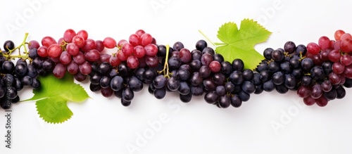 A bird s eye view of a fresh assortment of black and red grapes arranged artfully on a white background allowing for ample copy space