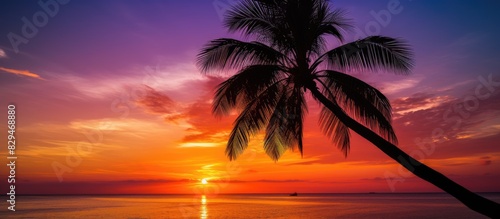 A palm tree silhouette stands against a beautiful sunset sky creating a captivating copy space image