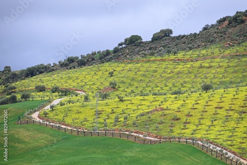 View of the colourful andalusian landscape in the province of Malaga, Spain
