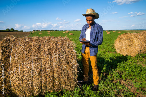 African farmer is standing in his agricultural field. He is cultivating clover and making bales of hay. photo