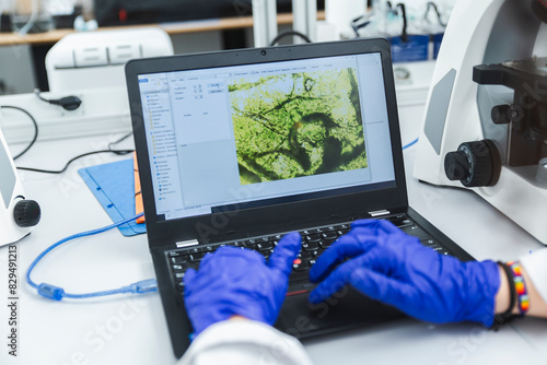Scientist examining pea sample through laptop in laboratory photo